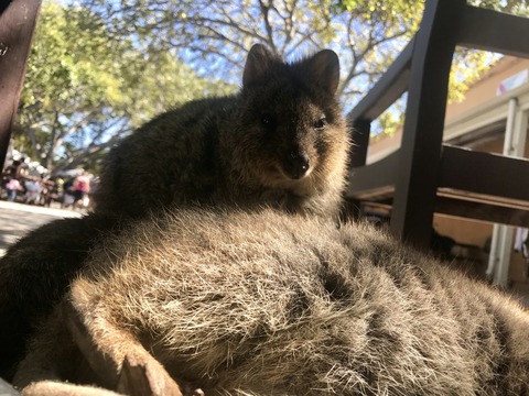 2B1D3F1F-6E17-464C-8F54-08BCEF53F210