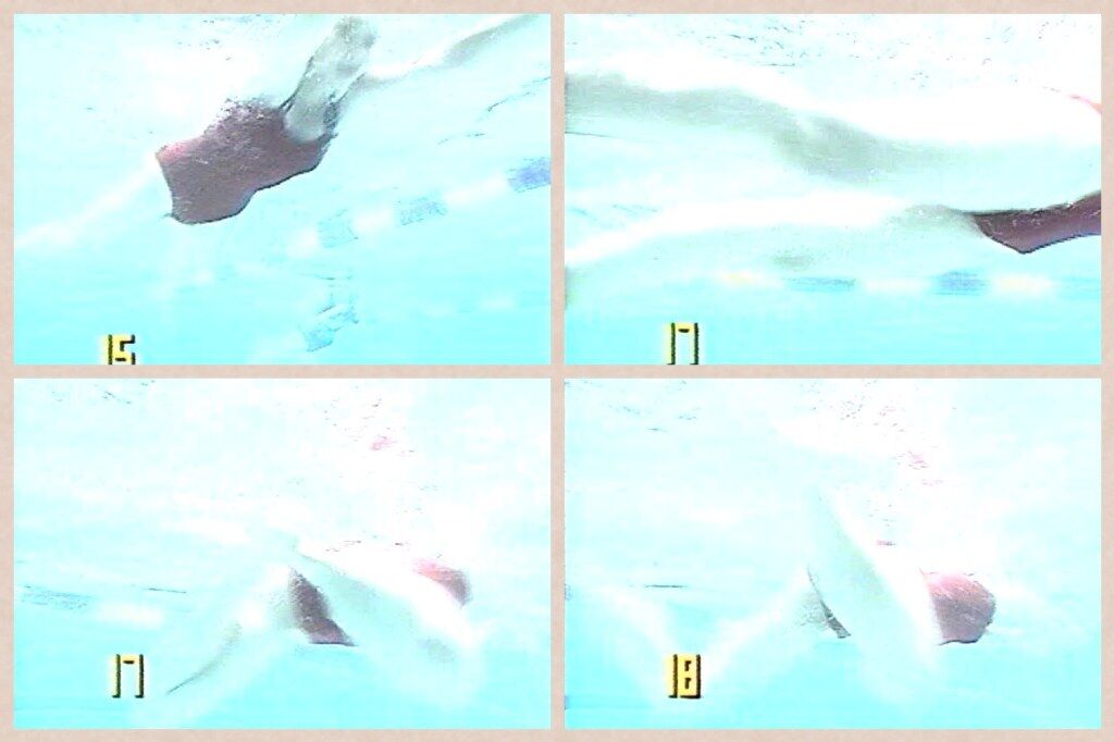 イメージ 10