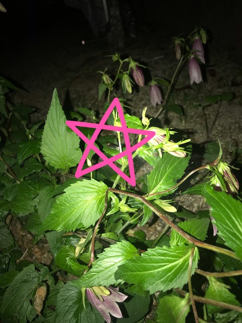 13424073-54DA-49D6-A93B-1CB90E209545