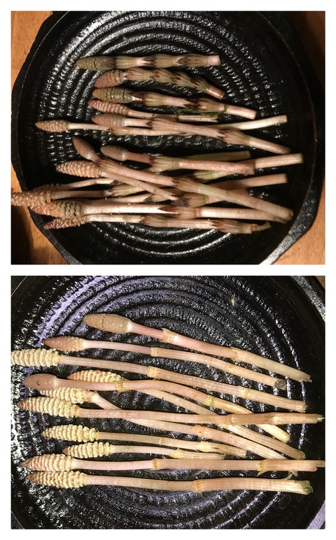 A484BF90-A851-43F9-865C-C6D2334BEEF9