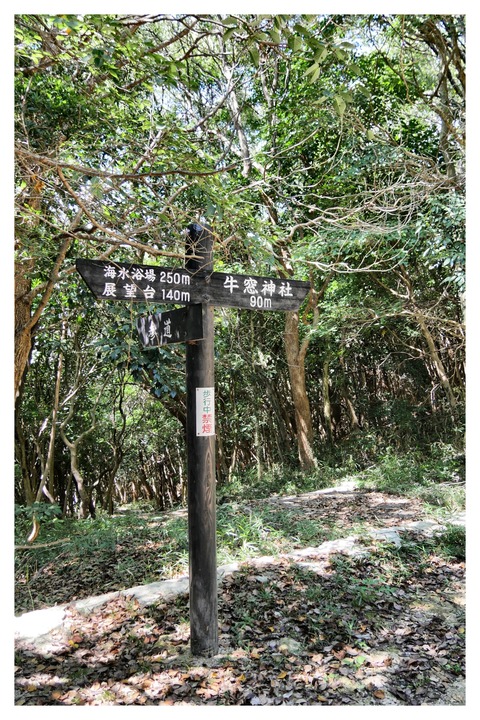 B277E9D5-0BDB-468B-AF6B-E700E4747780