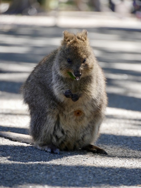 BBADC5C8-75E3-4361-B273-C4607019867D