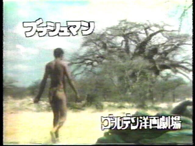 イメージ 7