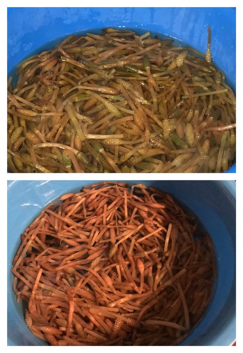 5E5813E8-676C-4FCD-97AB-937F1C074794