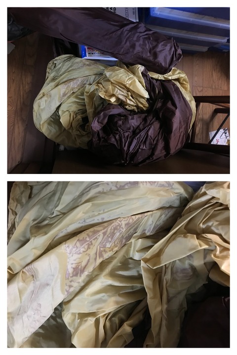 F1E06573-6C19-4C63-97F2-6766CC46F5C7