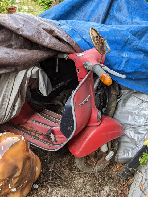 E8928B5D-4E81-4DB7-B268-1485DE7B877D