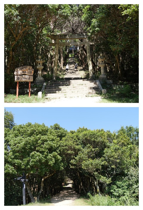 25C547DB-8C63-499F-9624-505E771985B1