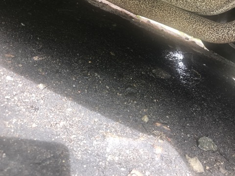 F36EF913-3BE7-4C75-96F7-8F30C057C46A