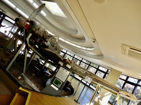 AC63C5A7-5DB8-4CFA-82FD-0C523070E22C