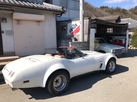 7C6E9586-8026-4A85-BAB3-790F10413418