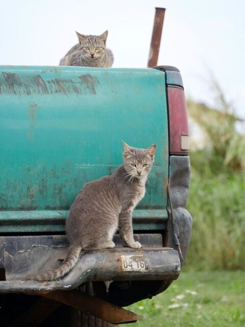 5688B678-D6B9-4783-BC0D-38698A8197CF