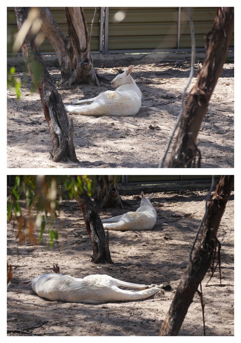 4A48EB7A-6055-4543-88DB-E25421901CDE