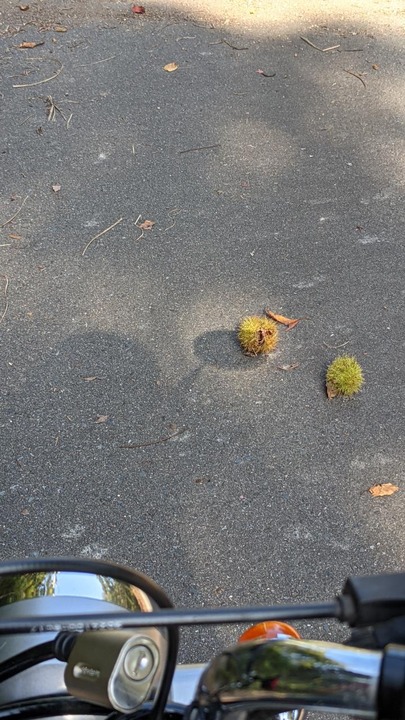 50AC2612-7B11-474C-9A6E-CFF4AE555F8C