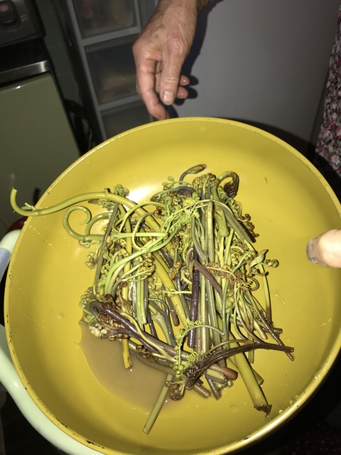 CC16855B-9C8B-417E-9520-C90FA3146D59