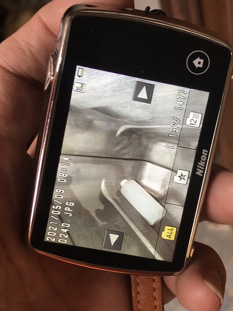 C76C7DB6-2B45-4221-8346-9989D1604A78