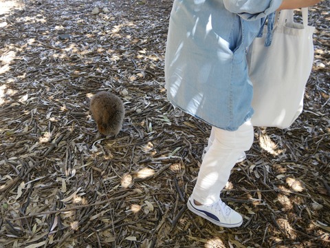 ED727397-60ED-40D2-A668-0DEF0DA9ACFF