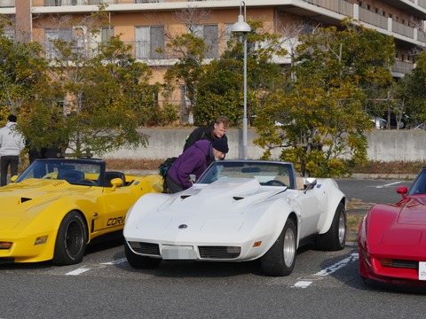 D6767B1E-EE41-4A34-89BB-F5DF8EAAF4D1