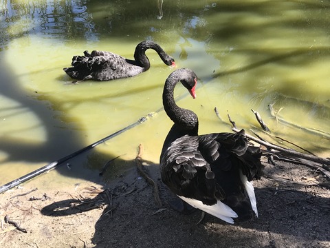 227119D5-3F7A-42E0-855C-99899D3B69FD