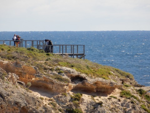 ACD24666-81A2-4353-814A-F7003F9FA88F