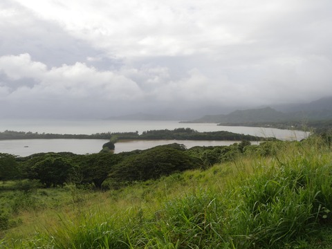 43278D75-1478-4163-9626-4E2AFB4679E4