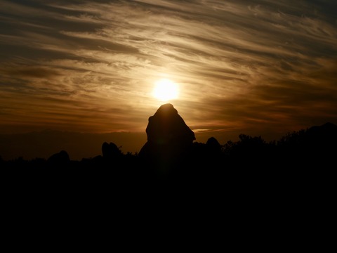 80104E72-223E-4EC2-8F80-7CBFE1BB303D