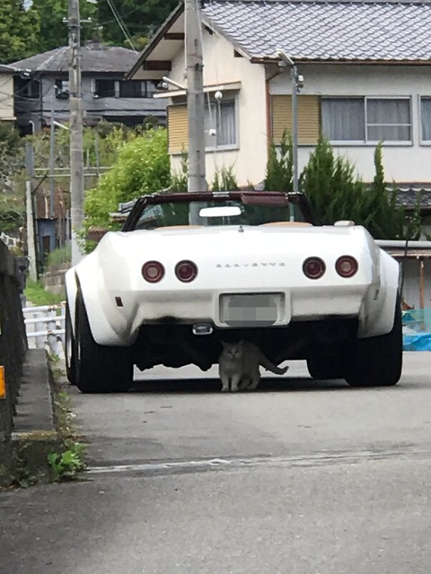 01E2426B-F9CF-4F8F-BF79-8590BAC80AA3