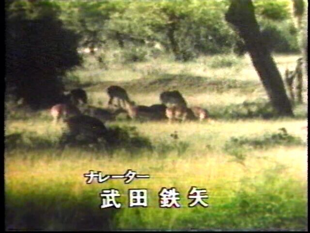 イメージ 4