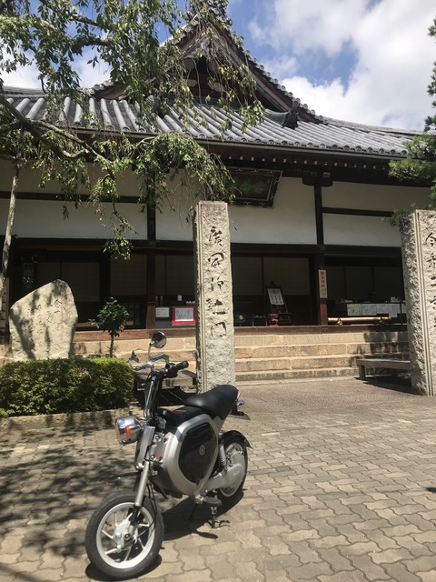 1469591B-3A63-4CEC-BD15-74A433CF91BE