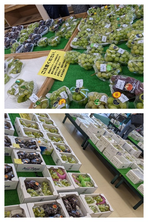 CD54B62E-DFC1-4323-8665-B8D9EF2FC5AB