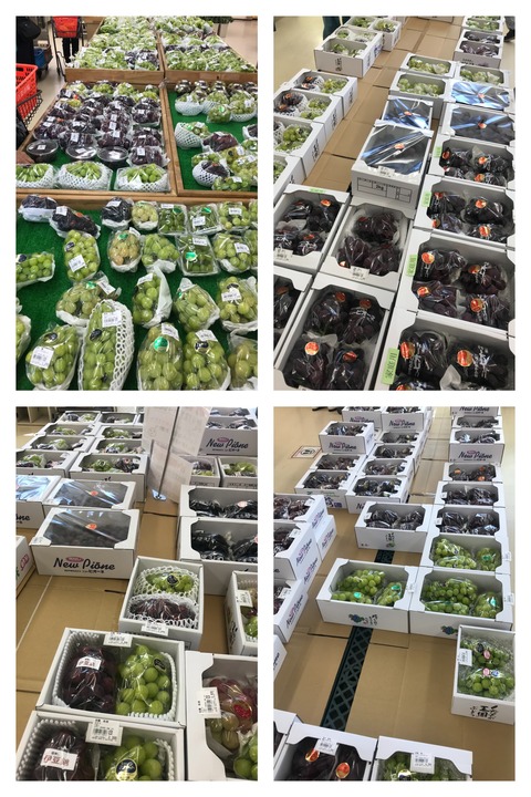 874657F1-AB31-4767-A39F-AE3A37E1DA73