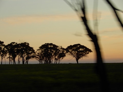 616598E0-F478-469F-9E1B-8E6B0DCD2AAD