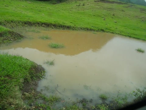 69CDD24B-FD54-461D-8D3F-E9E17582474B