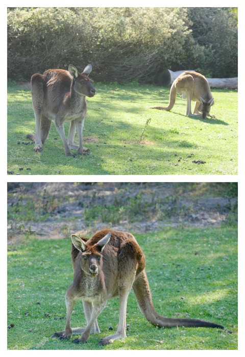 BA6B09AB-1791-4D7B-994A-2059239B18A5