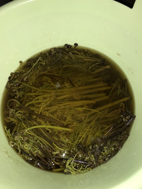 62750886-5AAA-44B7-B810-B59F5D855FE0