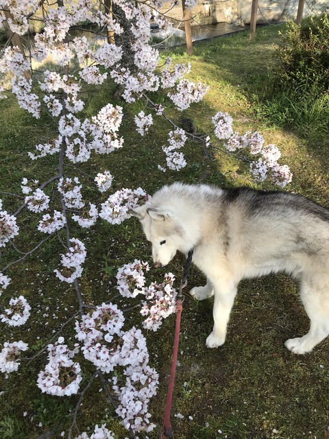 6F644067-1B17-4F76-AAEC-027E4FF09054