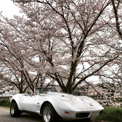 63A248C0-DBE4-4A31-A5A6-B8F5DEC53687