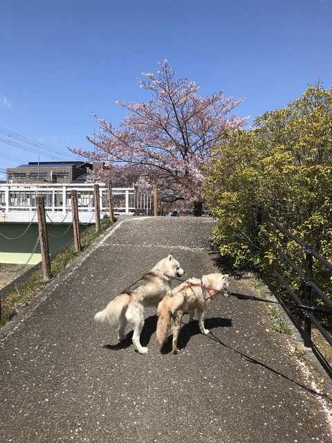 380F2FF1-F1A8-4A44-8A67-7C7F7C9567AC