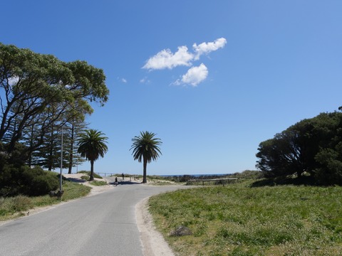 B2055528-692B-46D1-9E82-E12C93AE2579