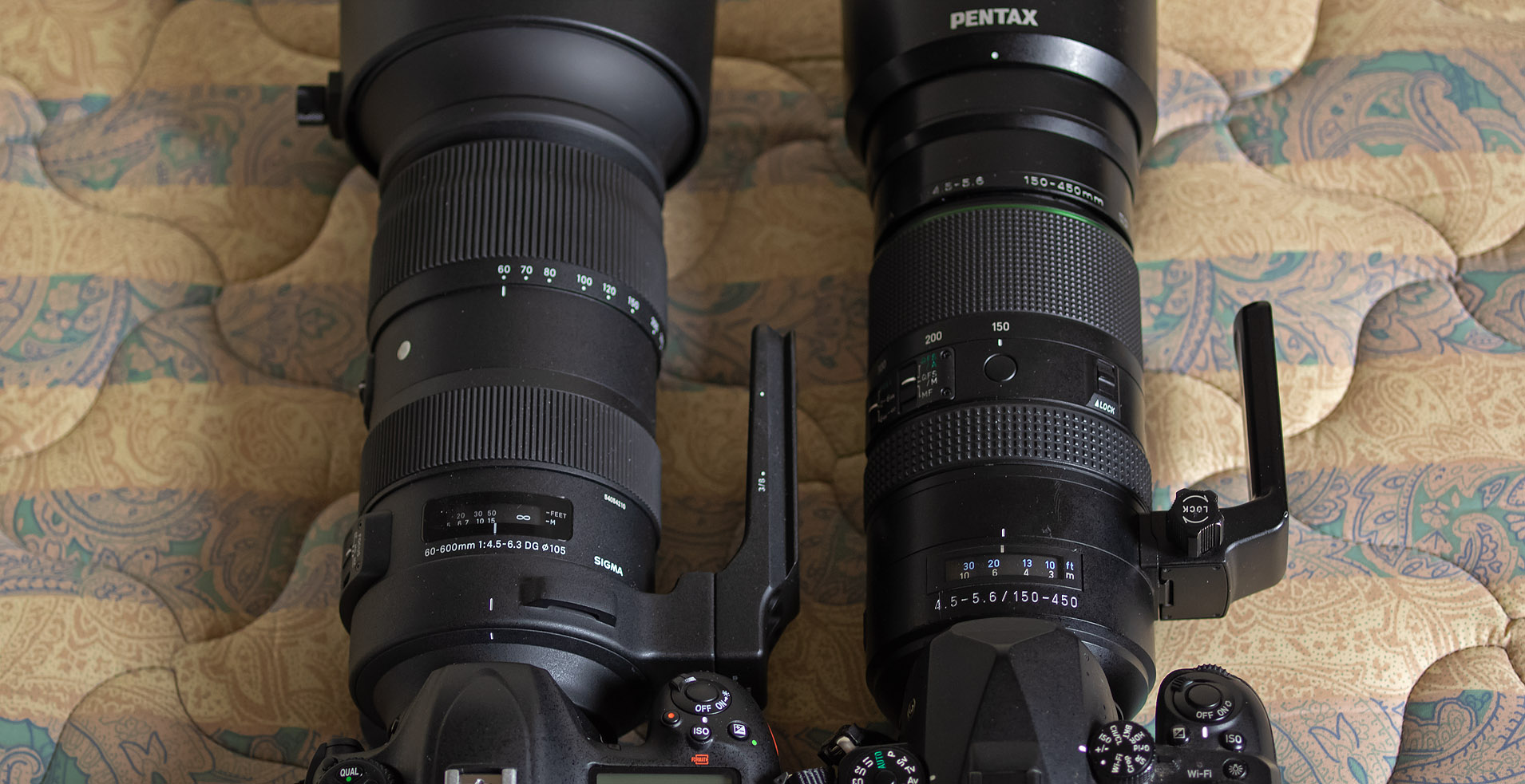 Nikon - ニコン D500 SIGMAレンズセット 渾身のDX」ニコンD500 16-80 VR レンズキット購入