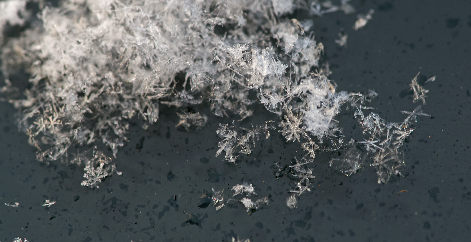 雪の結晶探し 艸 写真を撮るということ山口県 旧 野鳥を撮るということ 雪の結晶探し 艸 写真を撮るということ山口県 旧 野鳥を撮るということ