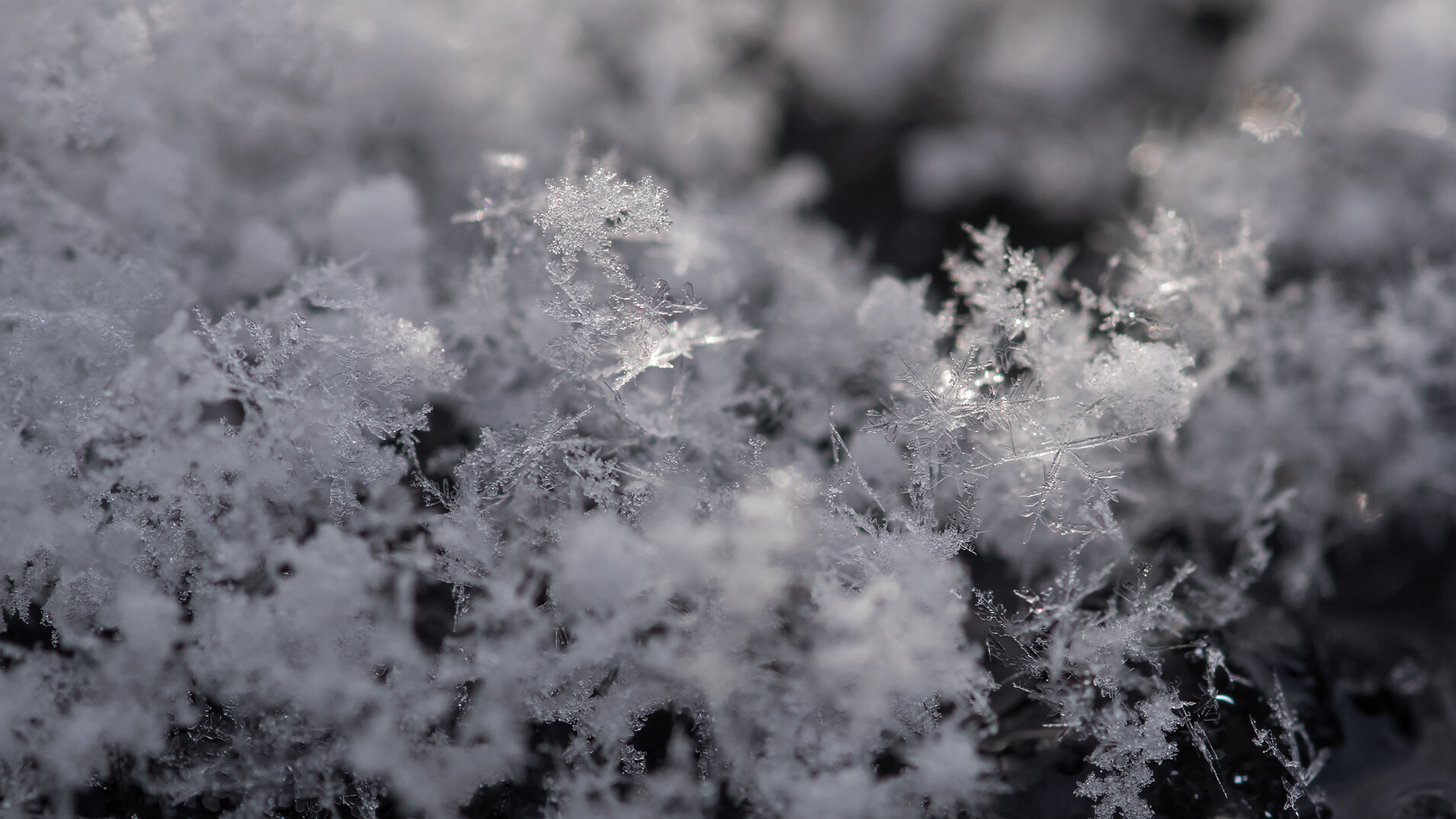 雪の結晶は身近なもの❆u2026瑠璃光寺五重塔、ｼﾞｮｳﾋﾞﾀｷ、ｲｶﾙ : 写真を撮る 