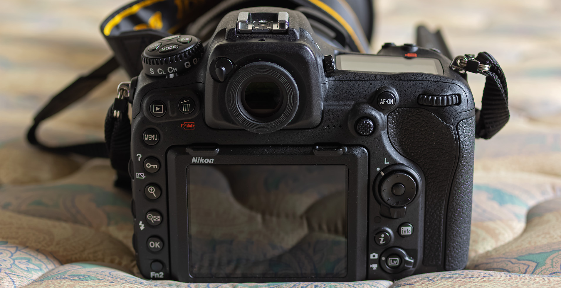 新規導入!(野鳥撮影用)…Nikon D500、SIGMA 60-600 : 写真を撮る 新規導入!(野鳥撮影用)…Nikon D500、SIGMA 60-600 : 写真を撮る