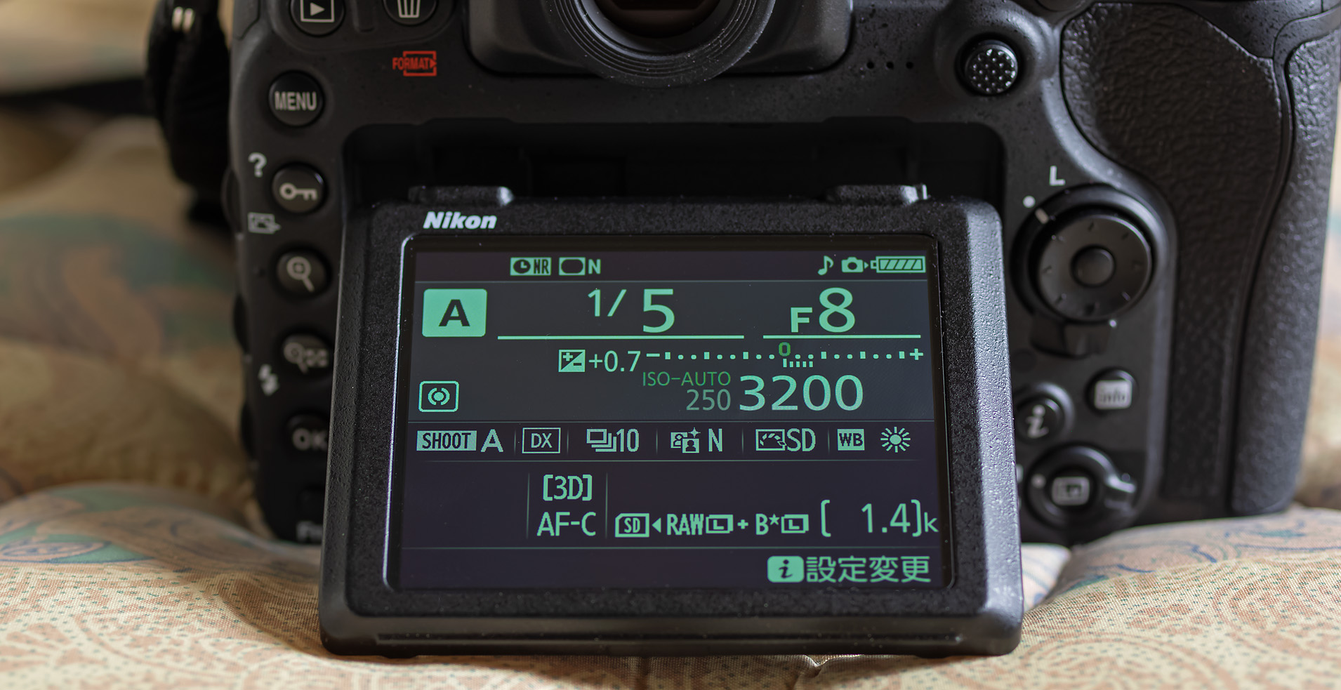 新規導入!(野鳥撮影用)…Nikon D500、SIGMA 60-600 : 写真を撮る 新規導入!(野鳥撮影用)…Nikon D500、SIGMA 60-600 : 写真を撮る