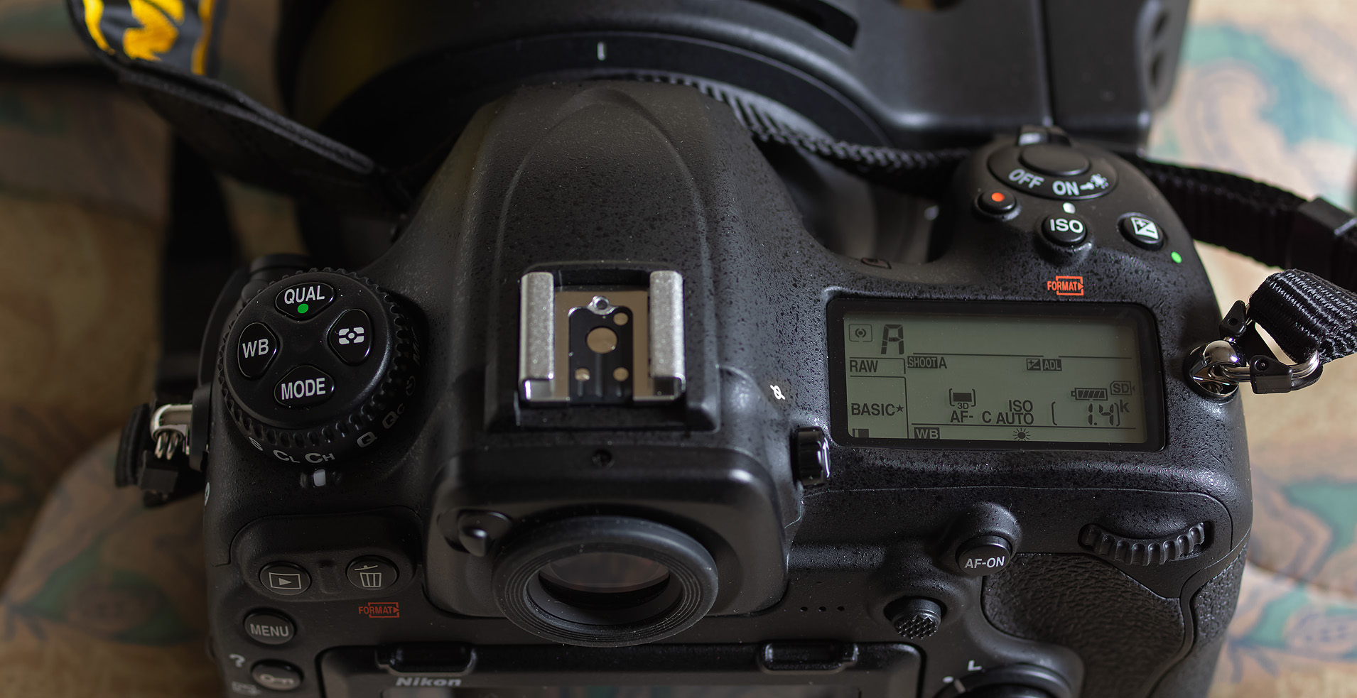 新規導入！(野鳥撮影用)…Nikon D500、SIGMA 60-600 : 写真を撮るという