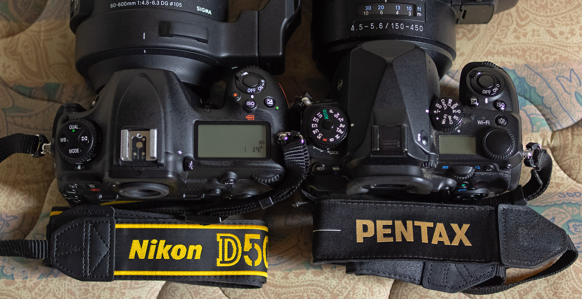 新規導入！(野鳥撮影用)…Nikon D500、SIGMA 60-600 : 写真を撮るという