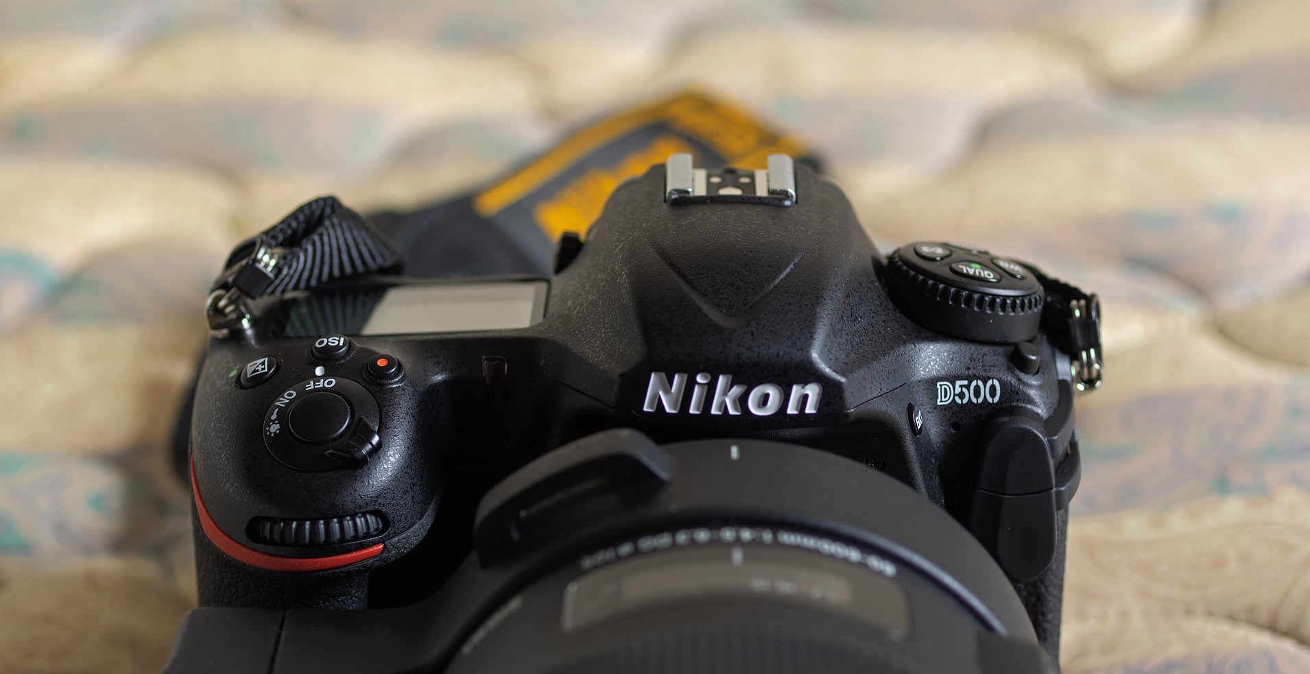 新規導入!(野鳥撮影用)…Nikon D500、SIGMA 60-600 : 写真を撮る 新規導入!(野鳥撮影用)…Nikon D500、SIGMA 60-600 : 写真を撮る