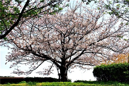 14-720