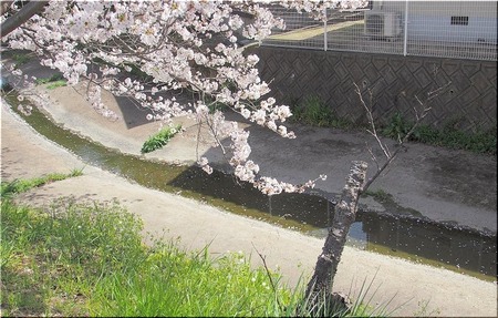 02-720