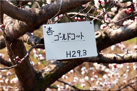 12-720