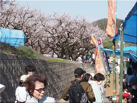 02-720
